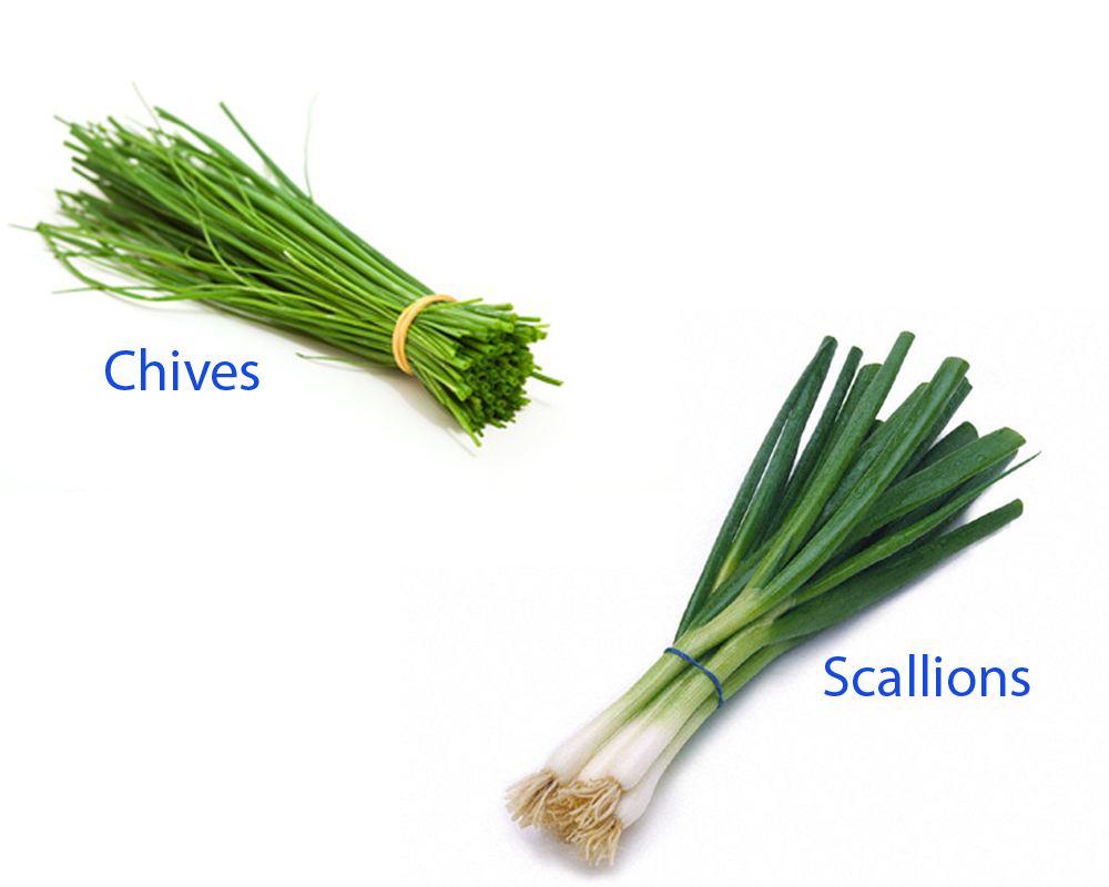 Chives vs Scallions 1